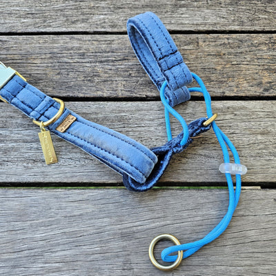 luxury blue velvet dog head halter halti