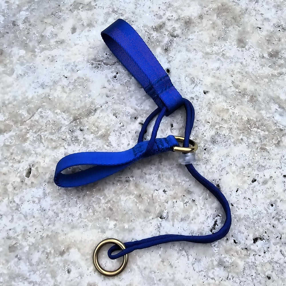royal blue head halter attachment nylon webbing webbed adventure beach walk