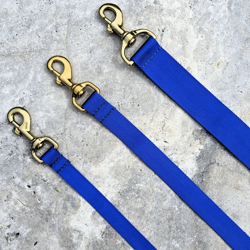 royal blue nylon webbing webbed adventure beach lead leash