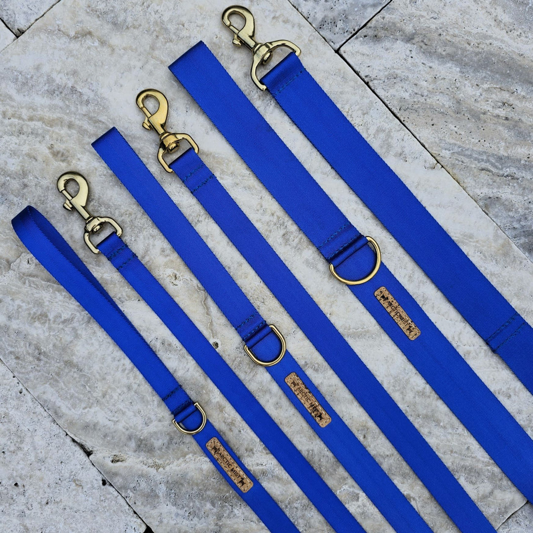 royal blue nylon webbing webbed adventure beach lead leash