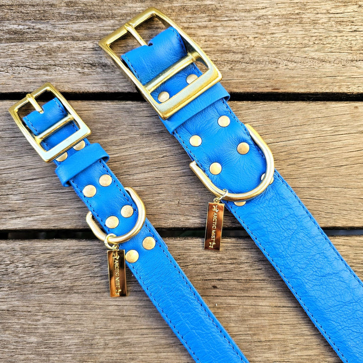 Azure Blue Luxury Leather Buckle Collar
