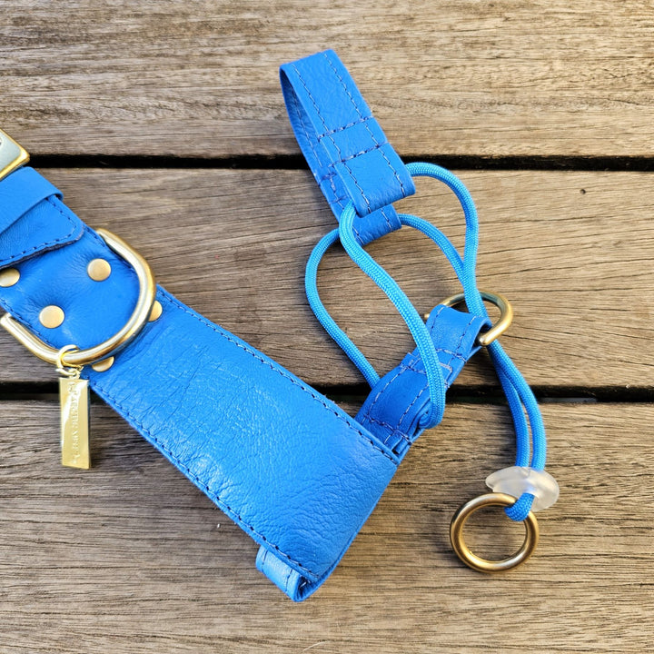 Azure Blue Luxury Leather Head Halter Attachment