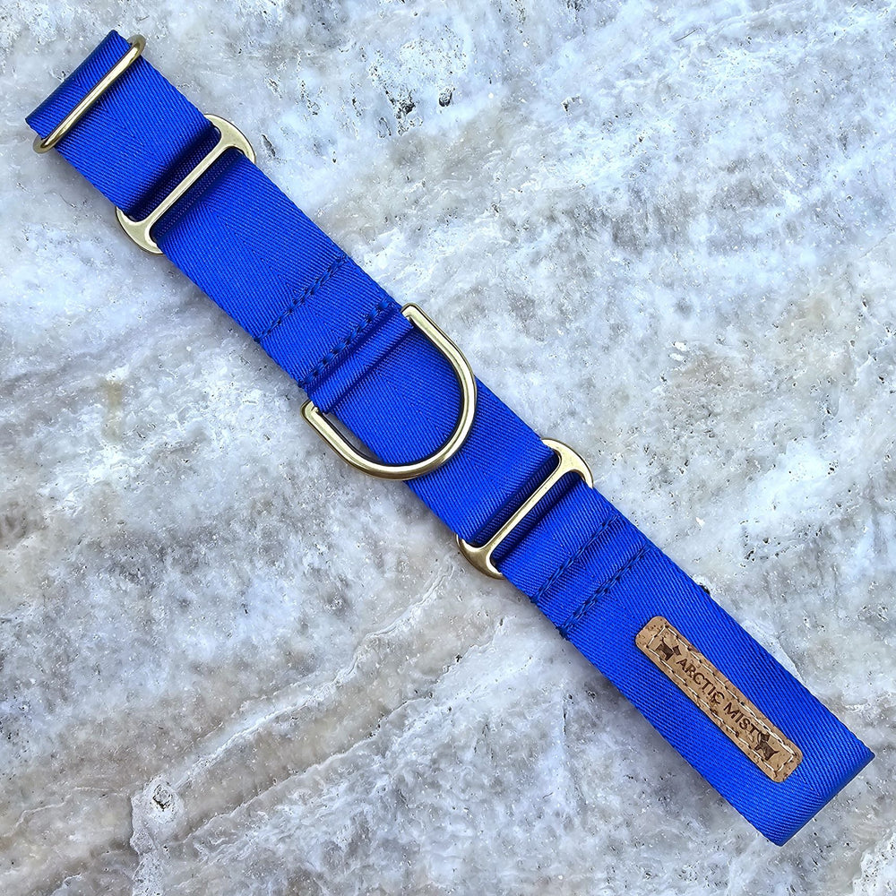 royal blue nylon webbing webbed beach adventure martingale collar