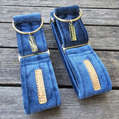 Blue Luxury Velvet Martingale Collar