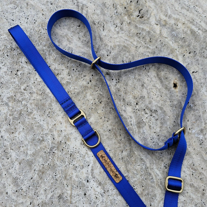 slip lead head halter dog nylon webbing webbed adventure beach royal blue