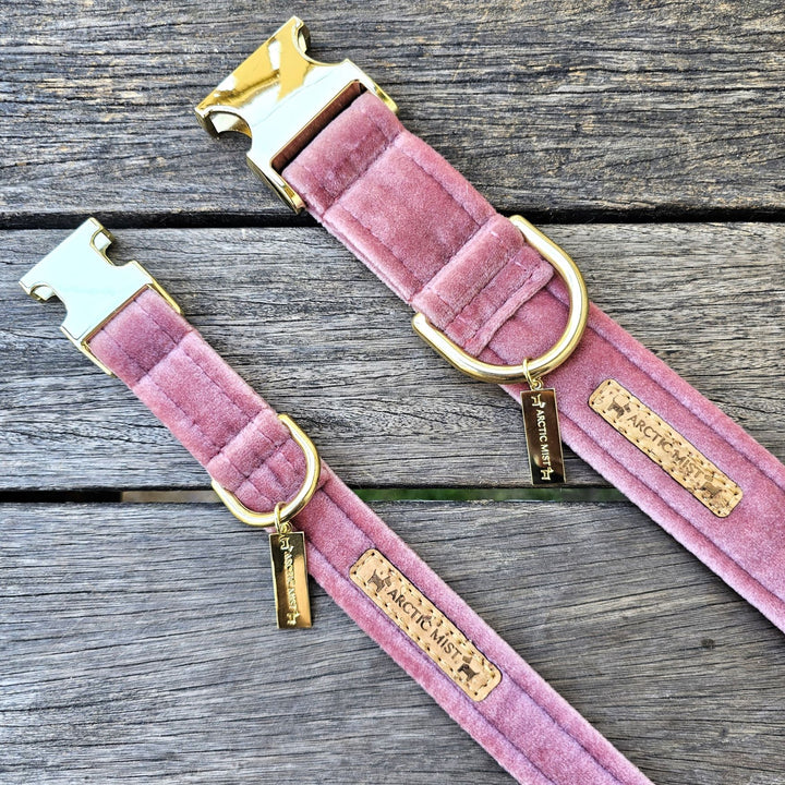 Blush Pink Luxury Velvet Buckle Collar (samples)