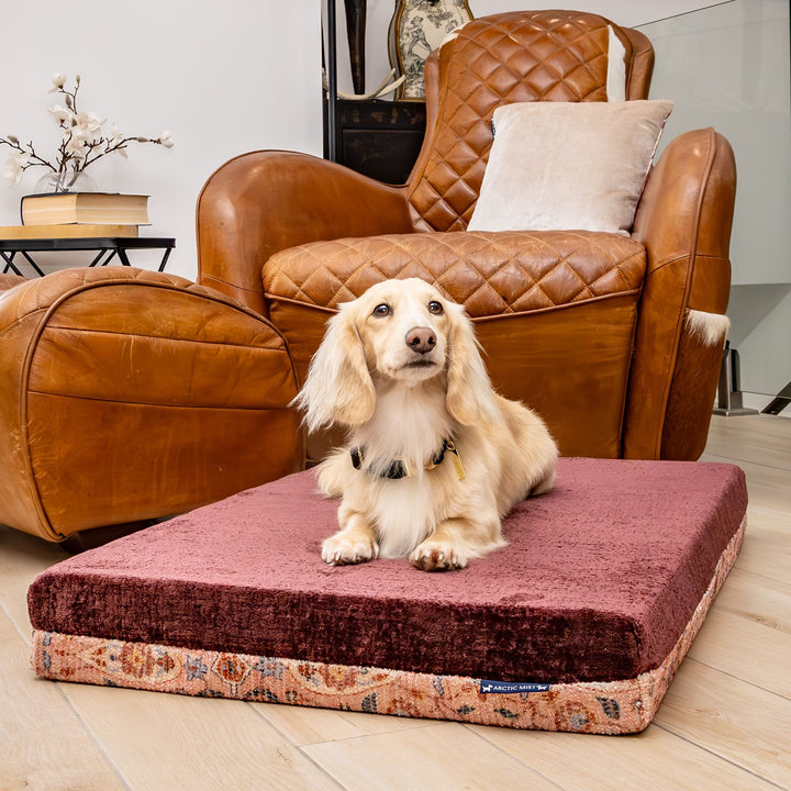 luxury australian made medium orthopedic dog bed orthopaedic supportive dog bed
