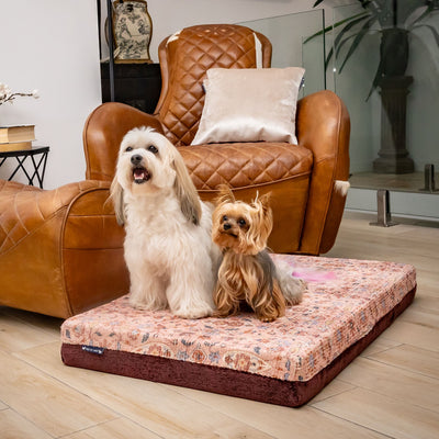 luxury australian made medium orthopedic dog bed orthopaedic supportive dog bed