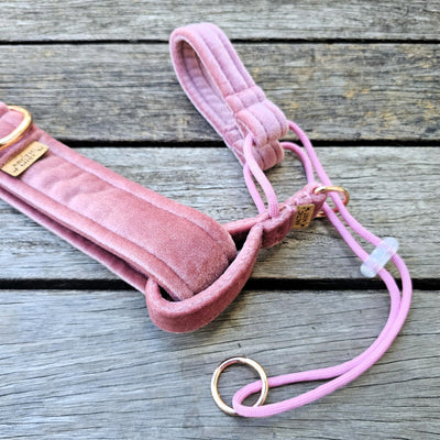 blush pink luxury velvet buckle dog collar head halter halti