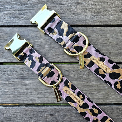 Blush Leopard Buckle Collar