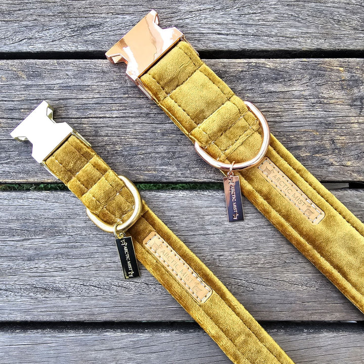 Gold Velvet Buckle Collar
