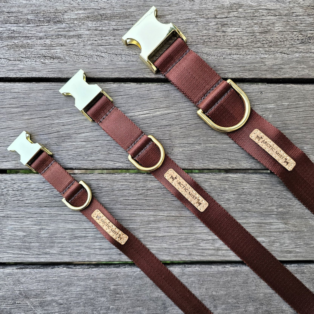 chocolate brown nylon webbing webbed beach adventure buckle collar