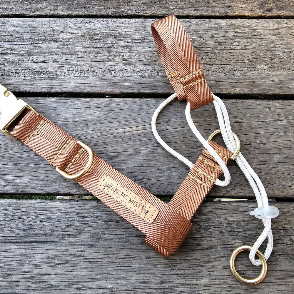 caramel latte adventure dog head halter attachment nylon webbing halti