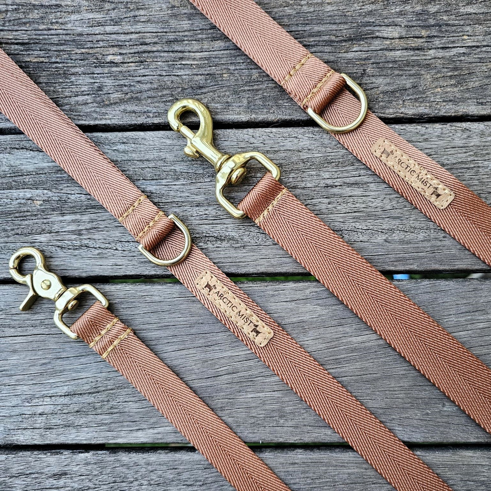caramel latte adventure nylong webbing webbed dog lead leash