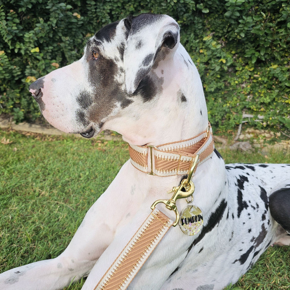 Caramel Latte St Tropez Martingale dog Collar