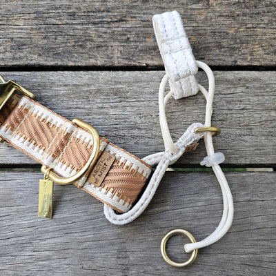 Caramel Latte champagne St Tropez polyester webbing dog head halter halti