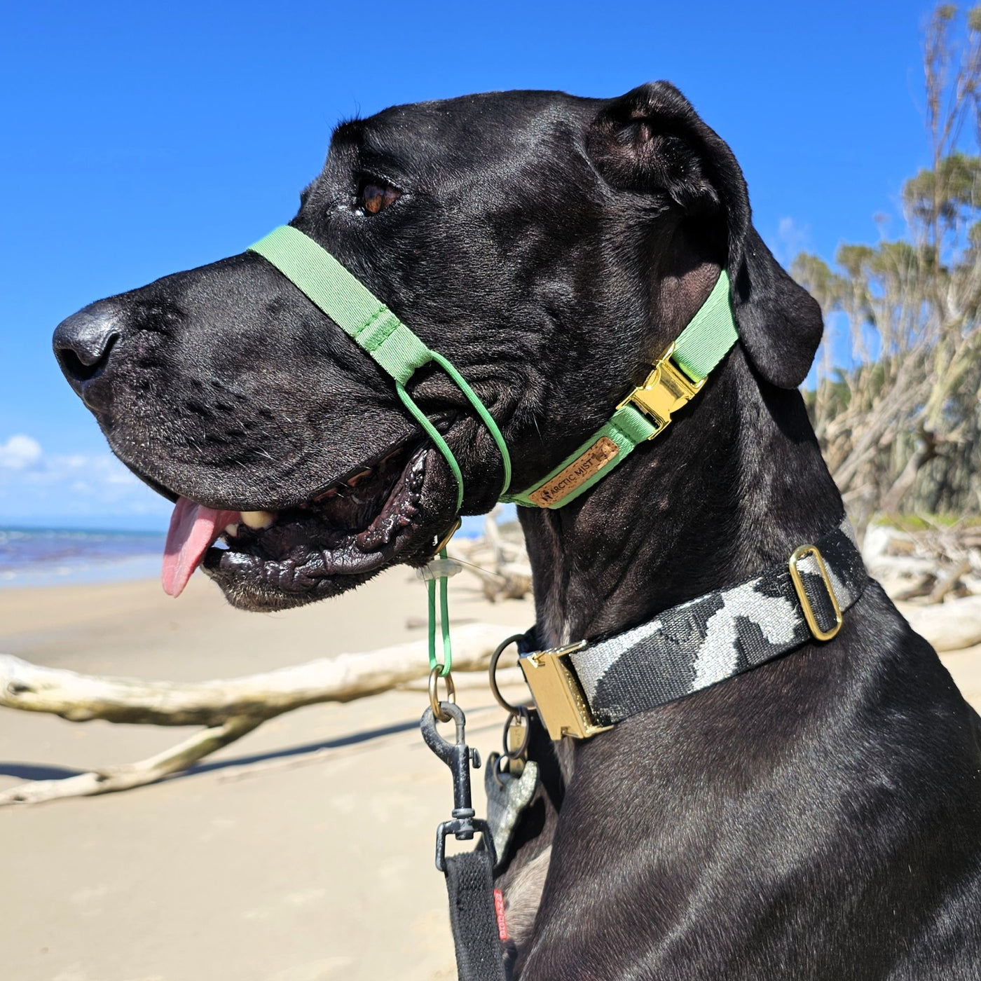 Emerald Green Complete Adventure Training Halter