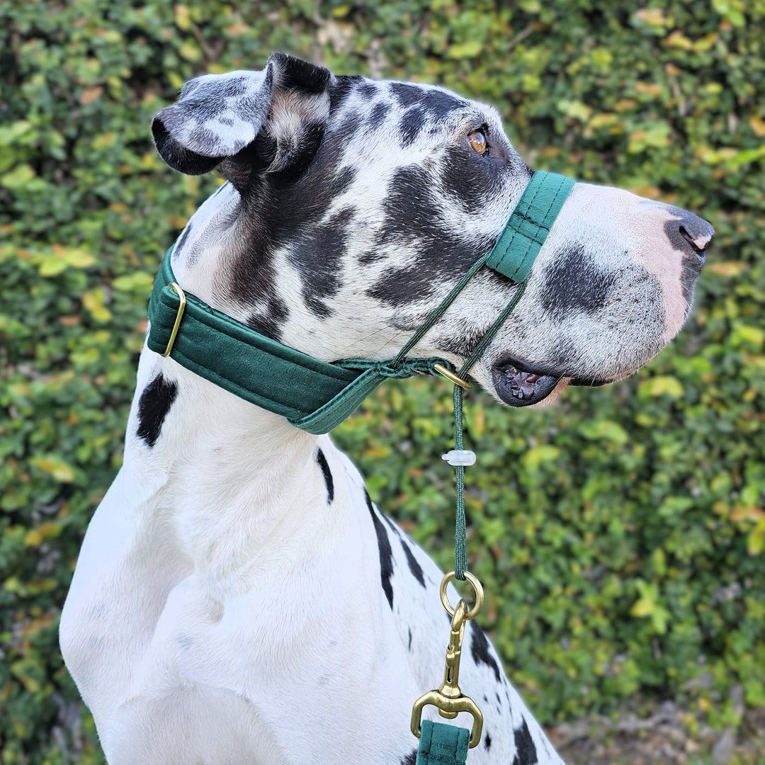 Forest Green Luxury Velvet Head Halter Attachment