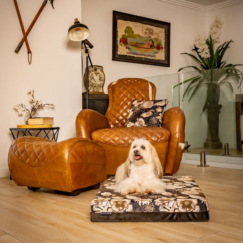 luxury australian made medium orthopedic dog bed orthopaedic supportive dog bed