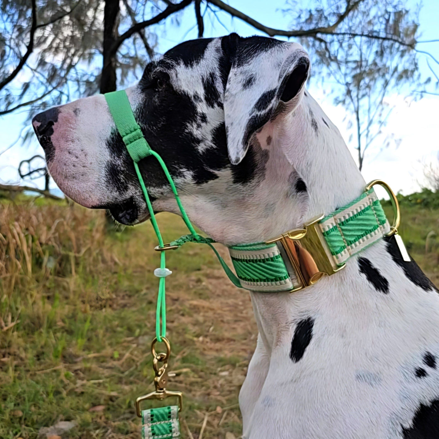 Emerald Green Adventure Head Halter Attachment