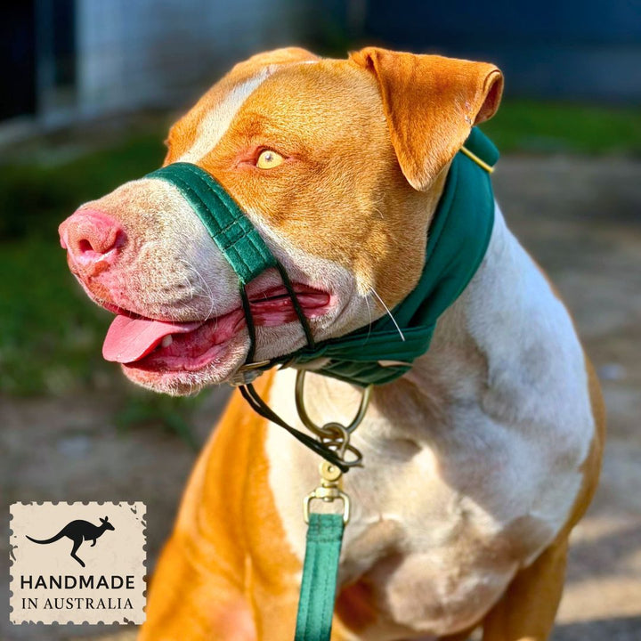 Forest Green Luxury Velvet Head Halter Attachment