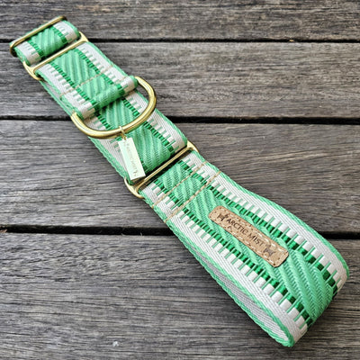 luxury emerald green webbing dog martingale collar limited slip collar brass