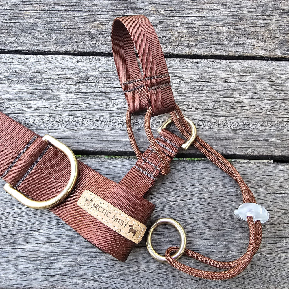 chocolate brown nylon webbing webbed beach adventure head halter attachment