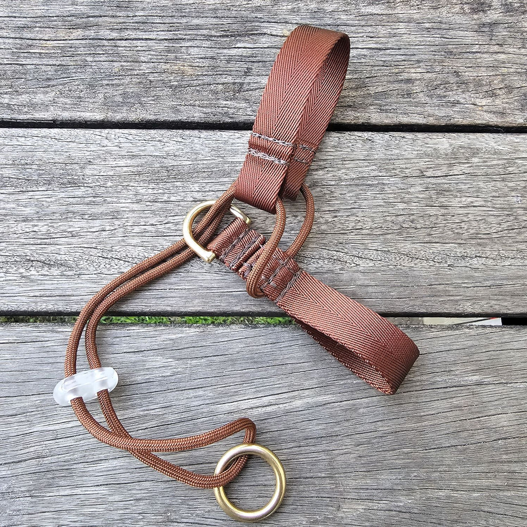 chocolate brown nylon webbing webbed beach adventure head halter attachment