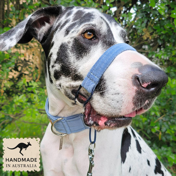 Storm Blue Luxury Velvet Head Halter Attachment