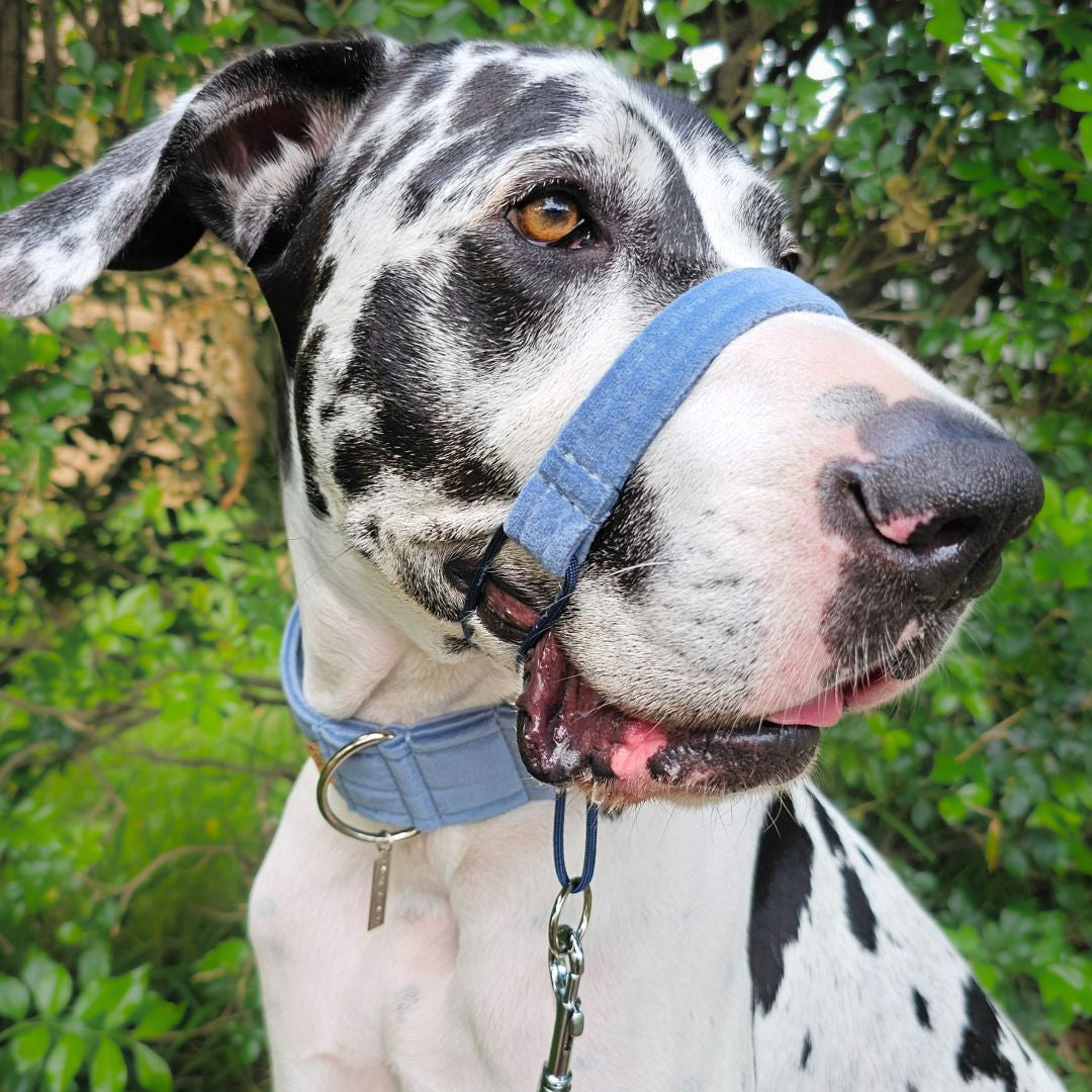 Storm Blue Luxury Velvet Head Halter Attachment