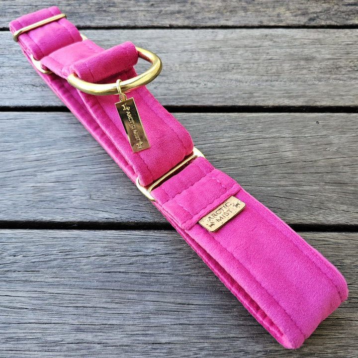 hot pink velvet martingale collar limited slip dog collar