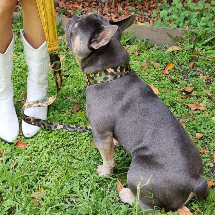 khaki leopard nylon webbing buckle collar