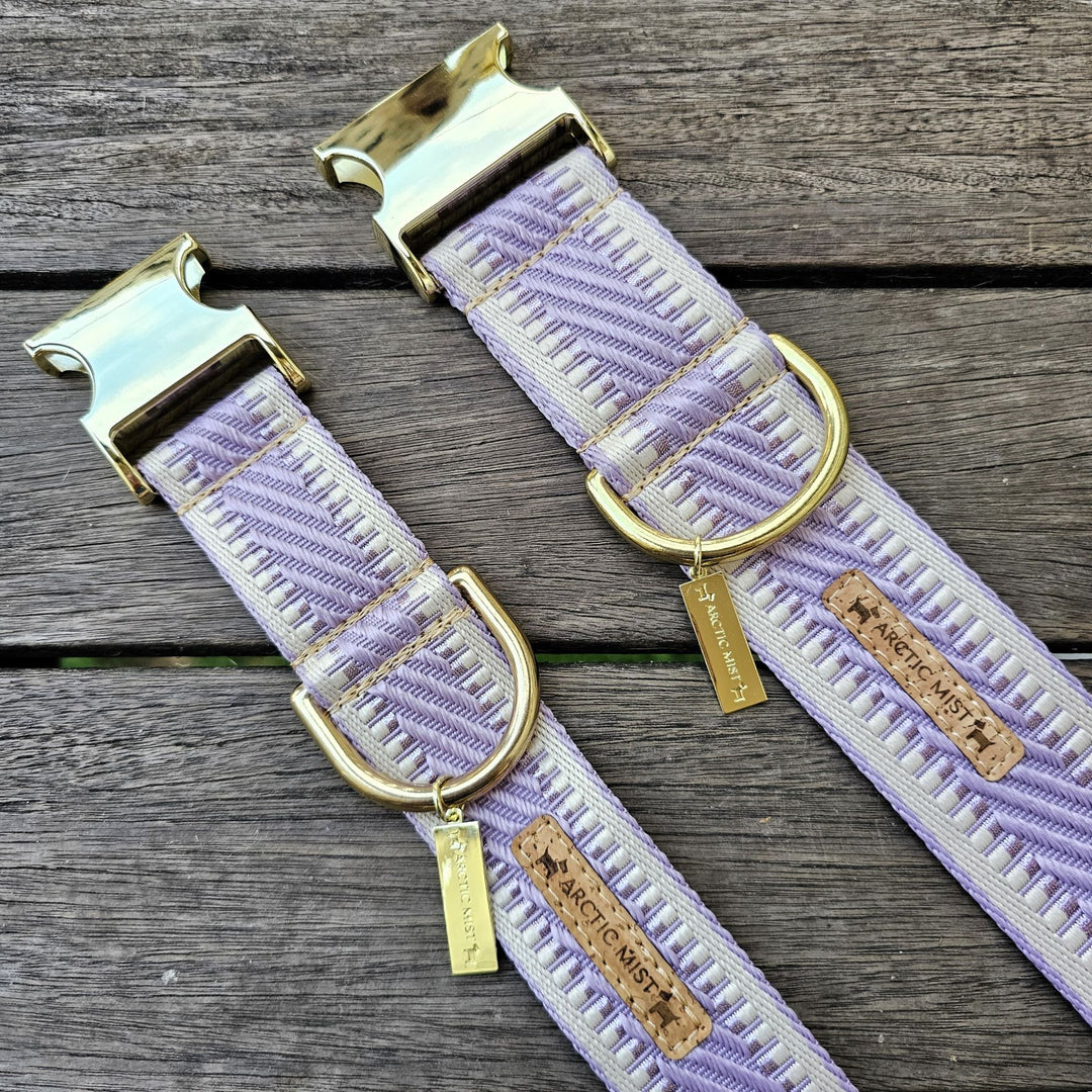 Lavender St Tropez Buckle Collar (Sample)
