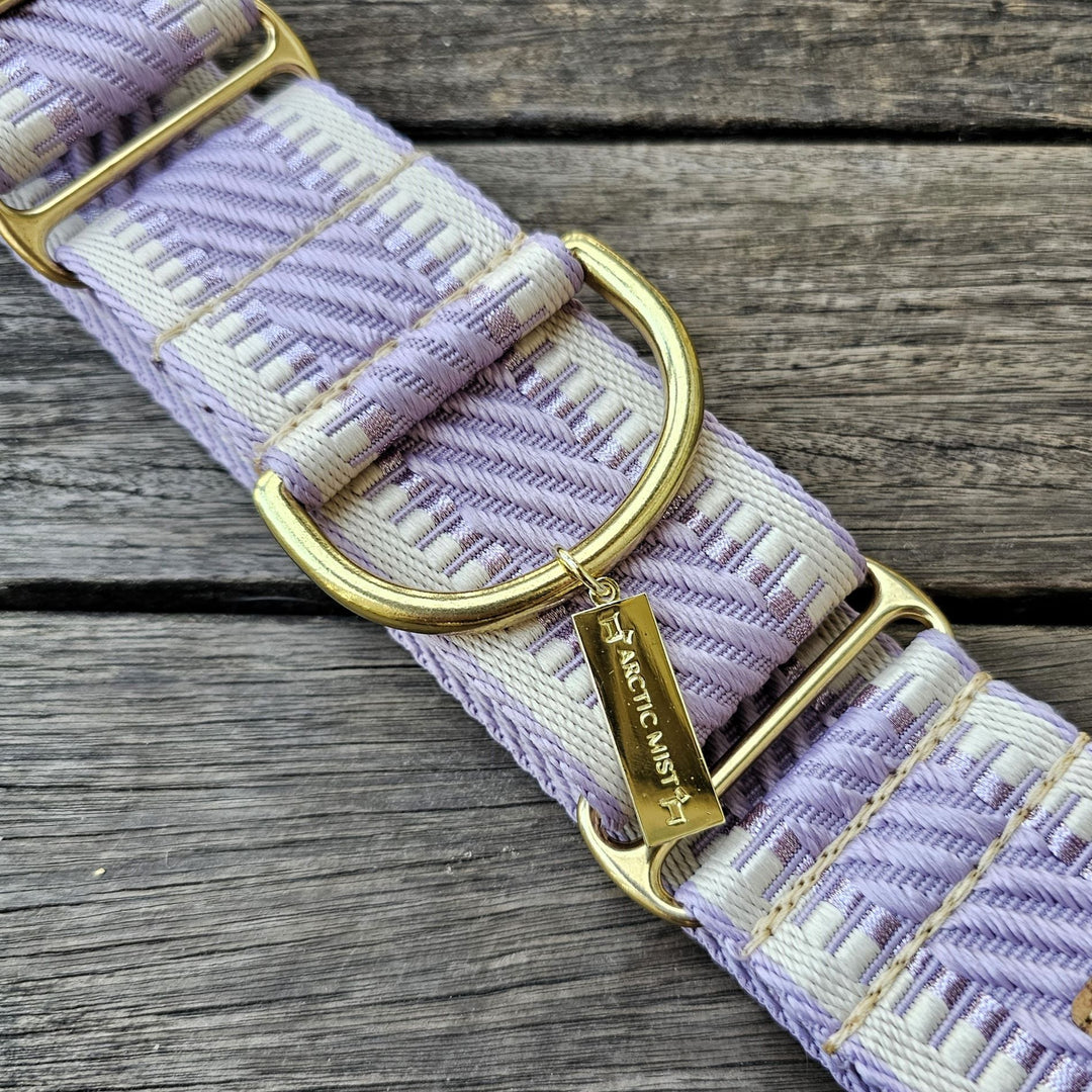 luxury lavender webbing dog  martingale limited slip collar brass 