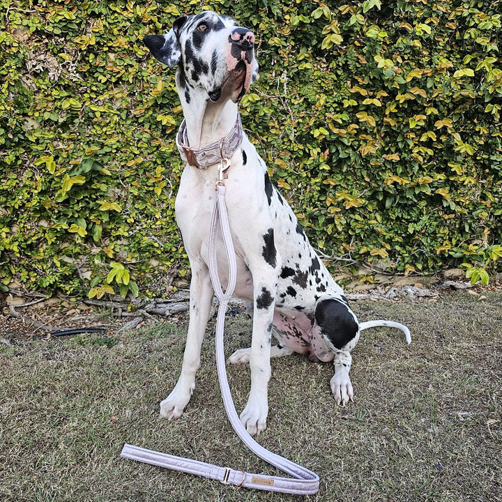 Pale Lavender Luxury Velvet Lead