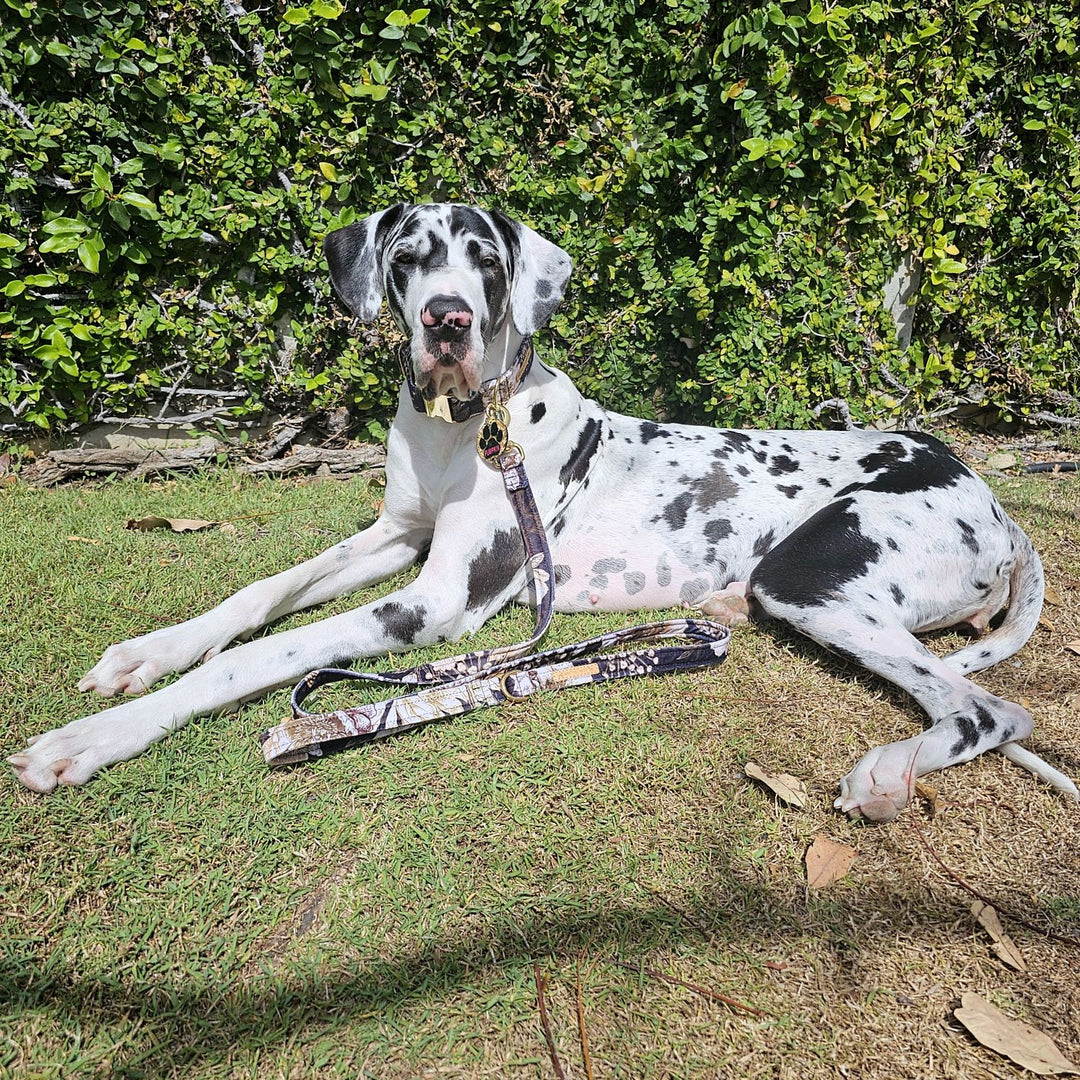 Golden Bloom Printed Velvet Lead