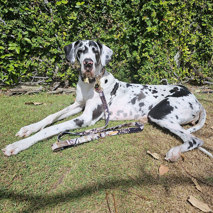 Golden Bloom Printed Velvet Lead