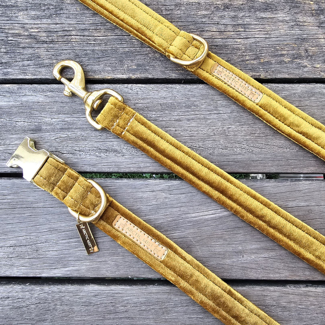 Gold Velvet Lead