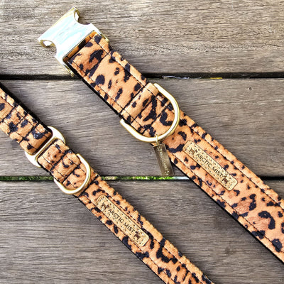 luxury leopard print velvet buckle dog collar