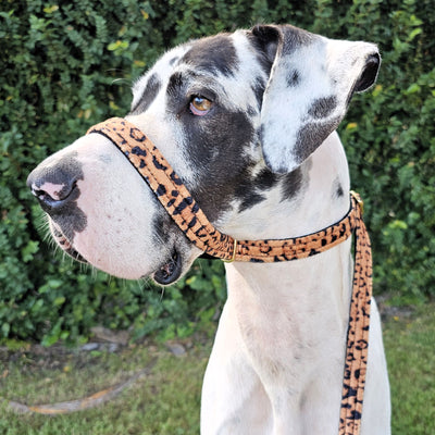luxury leopard print velvet dog slip collar head halter