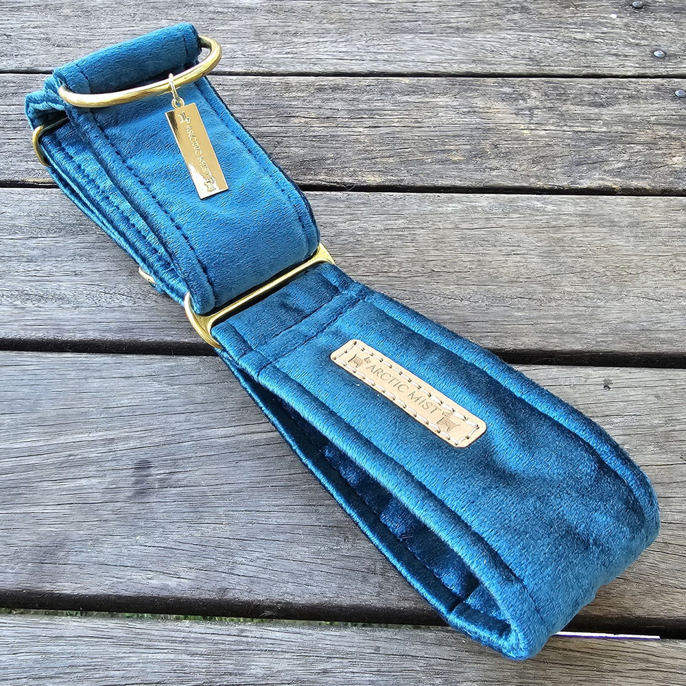 Luxury teal velvet dog martingale collar