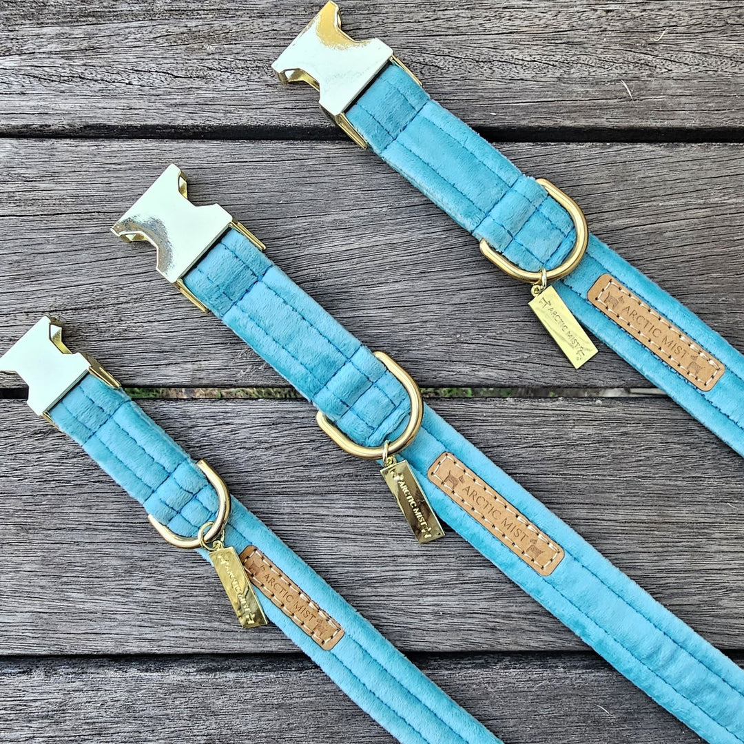 luxury mint velvet handmade buckle collar