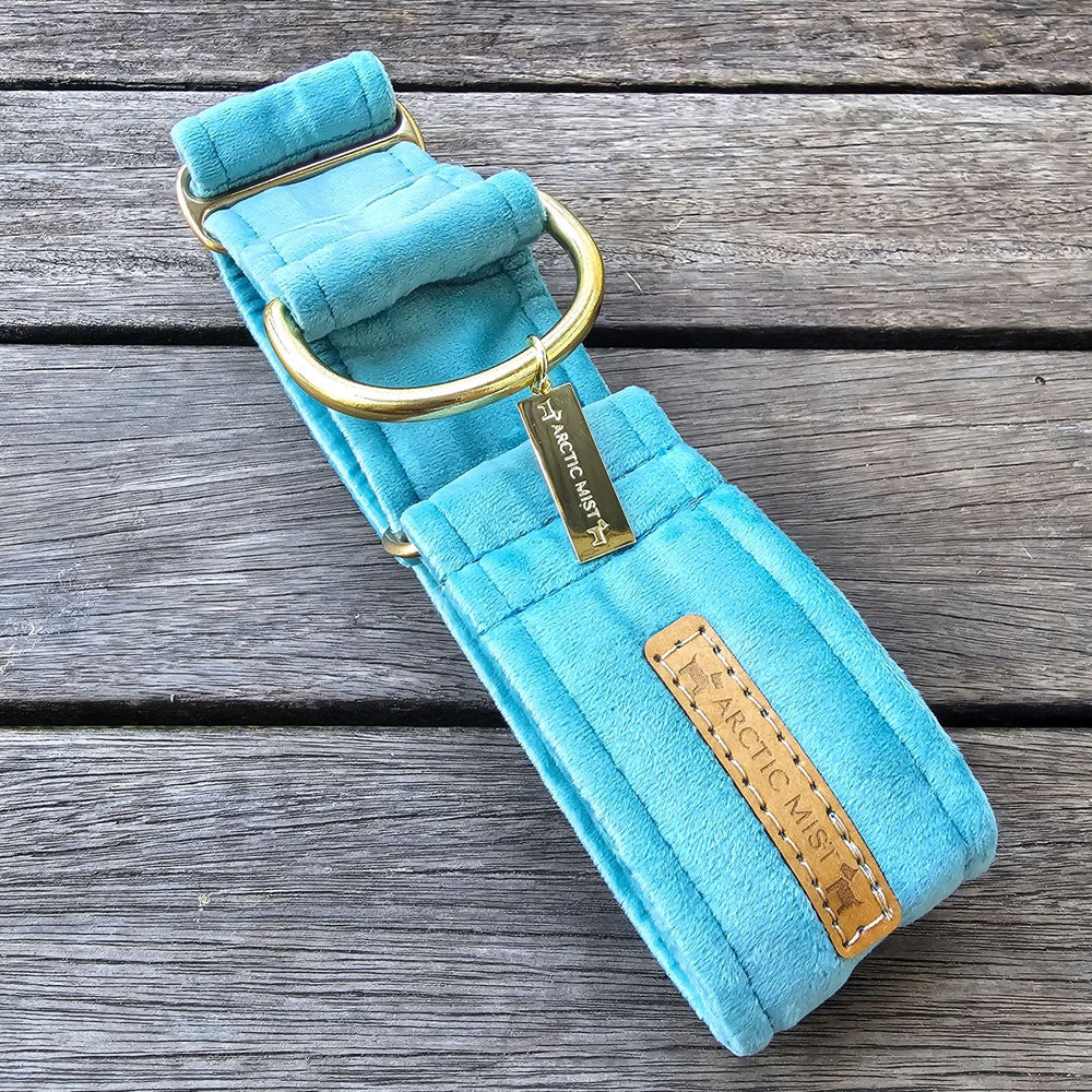 luxury mint velvet martingale collar