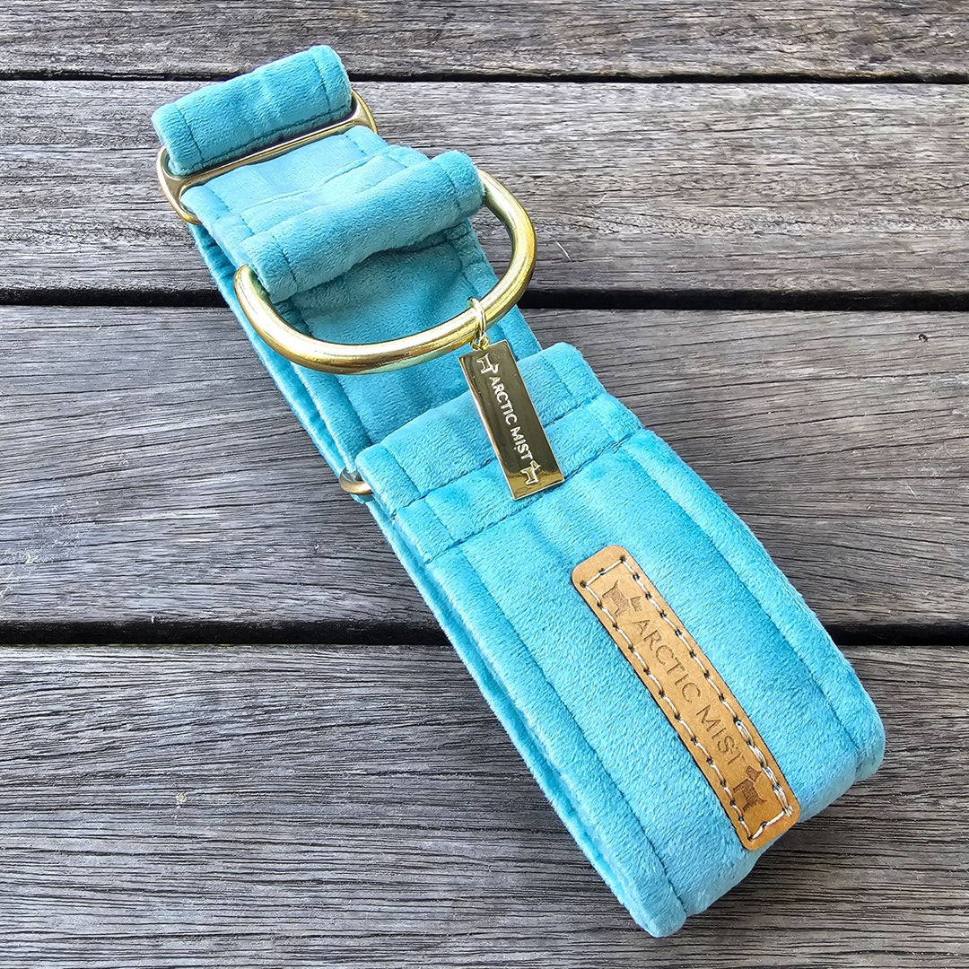 luxury mint velvet martingale collar