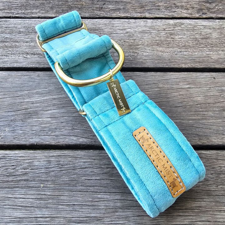 luxury mint velvet martingale collar