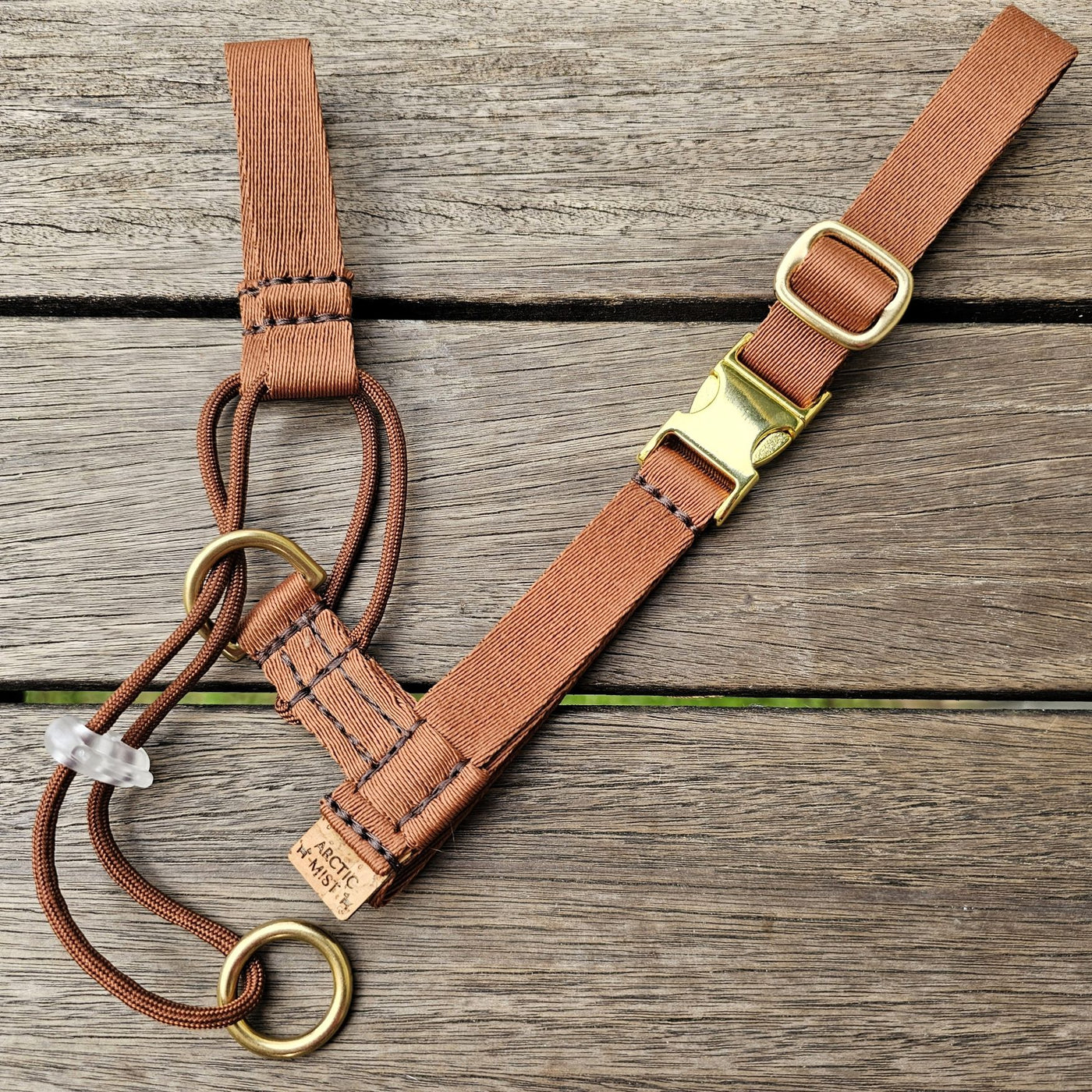 mocha mousse chocolate brown dog training head halter halti