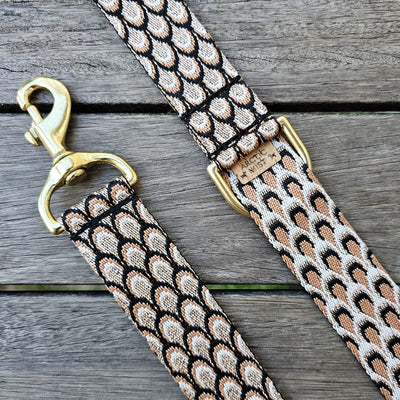 mocha mousse chocolate brown dog lead leash collar