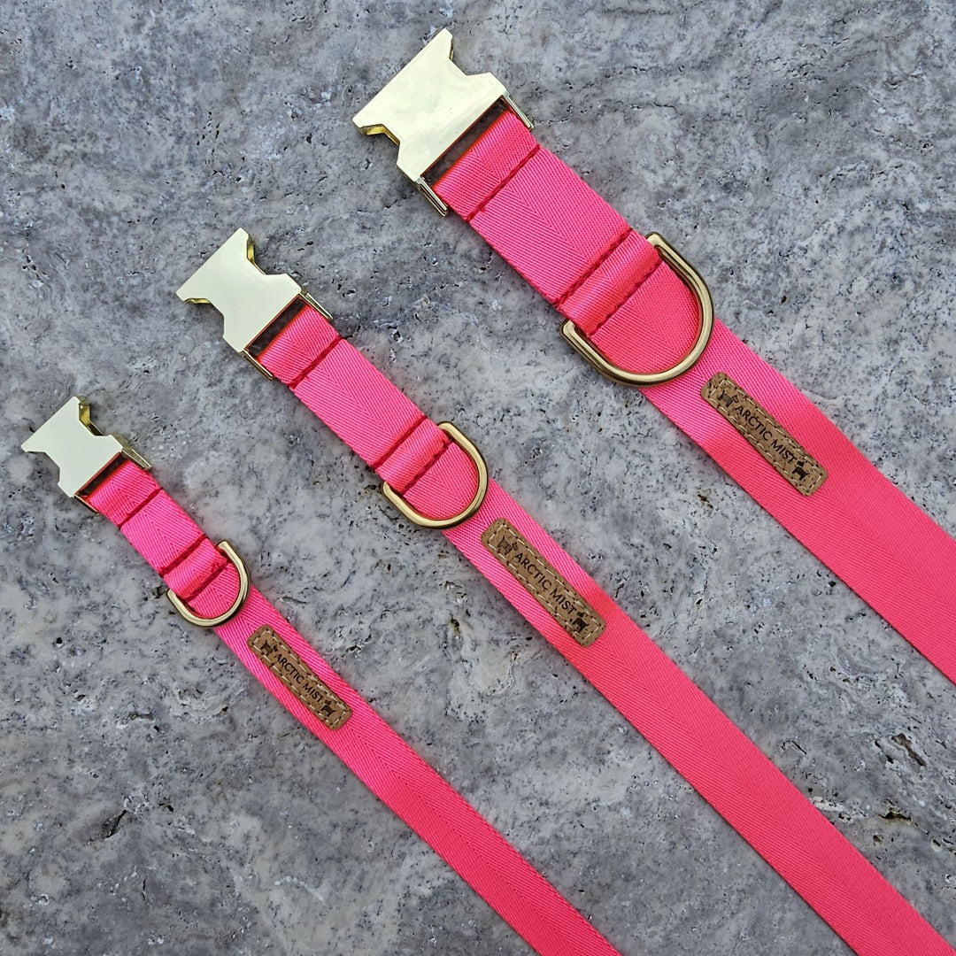 neon pink nylon webbing webbed adventure beach buckle collar