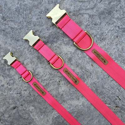 neon pink nylon webbing webbed adventure beach buckle collar