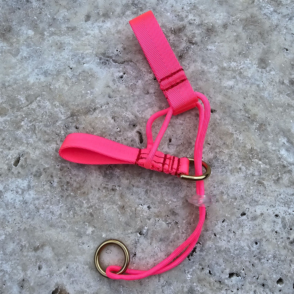 neon pink head halter attachment nylon webbing webbed adventure beach walk